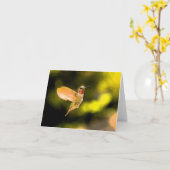 Annas Kolibri Karte (Gelbe Blume)