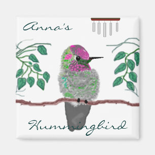 Annas Kolibri Magnet
