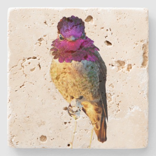 Anna's Kolibri Rosa Vogel Foto Steinuntersetzer (Vorderseite)