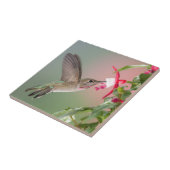 Annas Kolibri und Fuschia Fliese (Seite)