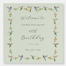 Anna's Kolibris Geburtstag