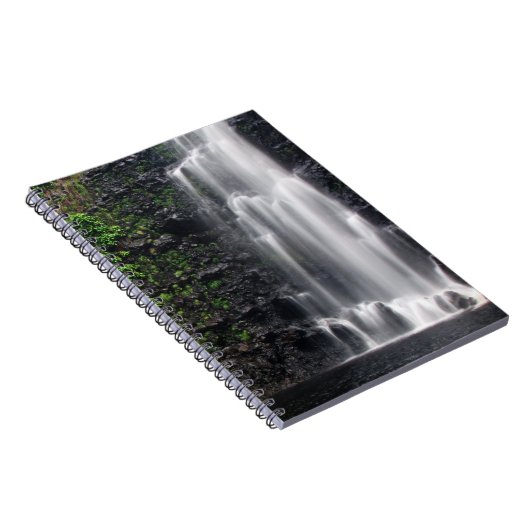 "Anna's Pond"-Notebook Notizblock (Rechte Seite)