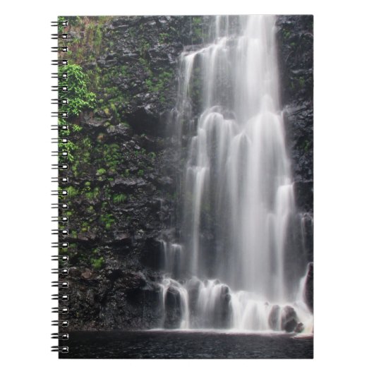 "Anna's Pond"-Notebook Notizblock (Vorderseite)