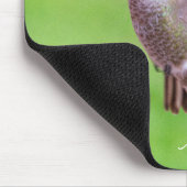 Annaskolibri Mousepad (Ecke)
