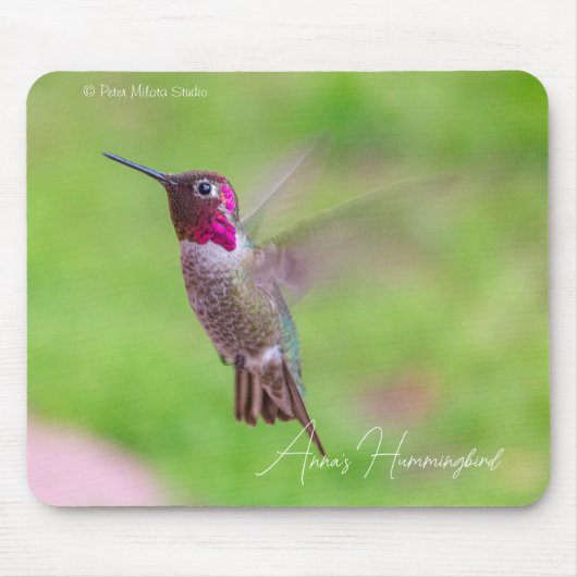 Annaskolibri Mousepad (Vorne)