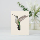 Annaskolibri Postkarte (Stehend Vorderseite)