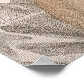 Anne Boleyn (1507-36), Gravur von Francesco Bartol Poster (Ecke)