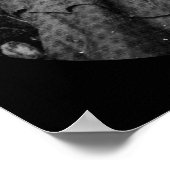 Anne Roberts Daguerreotype 1857 Poster (Ecke)