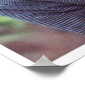 Anne und Diana Poster (Ecke)