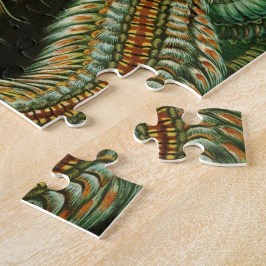 Annelids von Ernst Haeckel Puzzle (Seite)