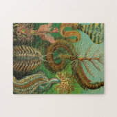 Annelids von Ernst Haeckel Puzzle (Horizontal)