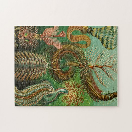 Annelids von Ernst Haeckel Puzzle (Horizontal)