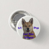 annie1234, verlorene Hunde Arlington, Übel Button (Vorne & Hinten)
