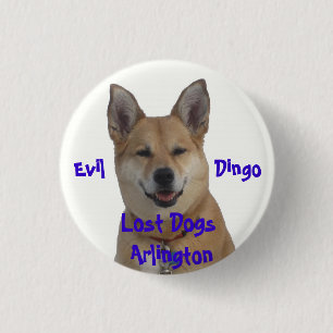 annie1234, verlorene Hunde Arlington, Übel        Button