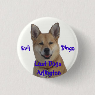 annie1234, verlorene Hunde Arlington, Übel Button