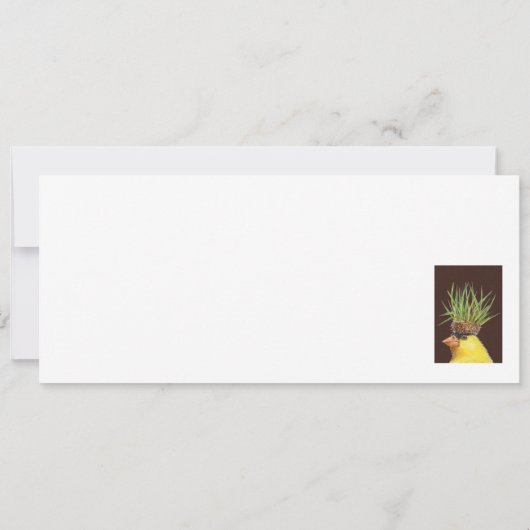 Annie and Pete Host the Finch Festival card/lade Einladung (Rückseite)