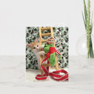 Annie and the Elf - Cat / Kitten Christmas Card Feiertagskarte