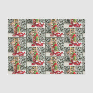 Annie and the Elf - Cat / Kitten Tissue Paper Seidenpapier