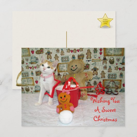 Annie Cat Gingerbread Weihnachten Postkarte (Vorne/Hinten)