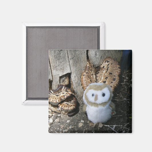 Annie & Mushrooms Magnet (Vorderseite/Rückseite)