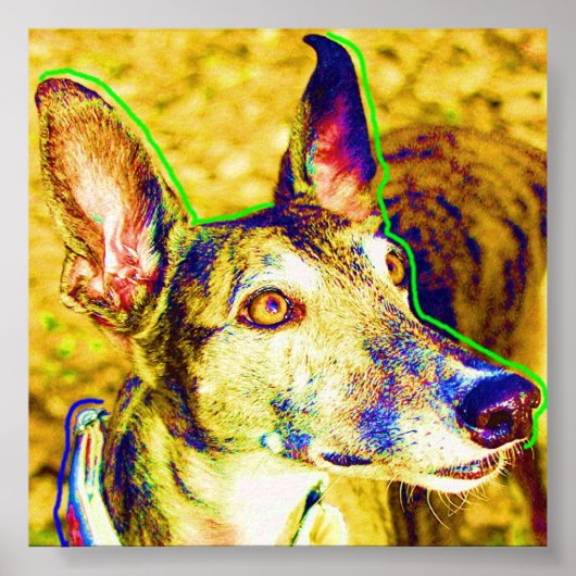 Annie Poster (Vorne)