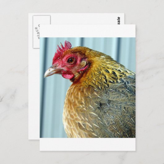 Annie Postkarte (Vorne/Hinten)