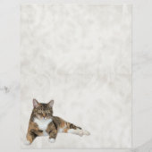 Annie The Cat's Stationery Paper (Rückseite)