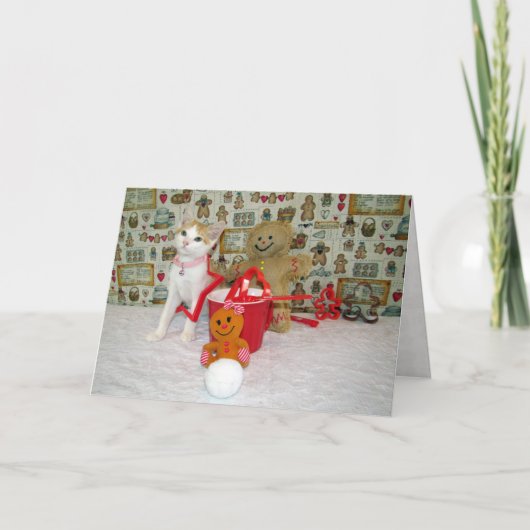 Annie's Cookie Cutters - Cat / Kitten Weihnachten (Vorderseite)