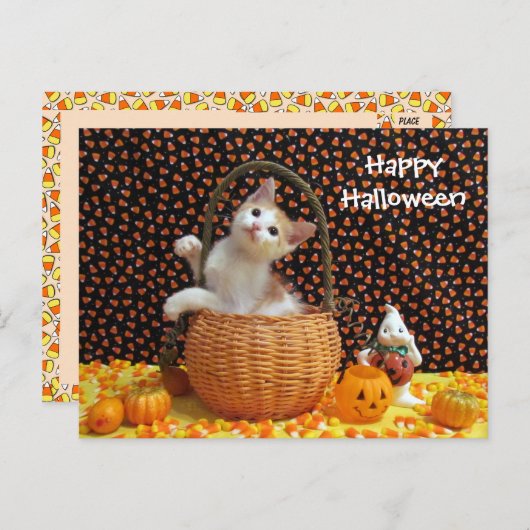 Annie's merkwürdige Halloween-Katze Postkarte (Vorne/Hinten)