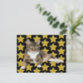 Annie's Star : Cat Postcard Postkarte (Stehend Vorderseite)
