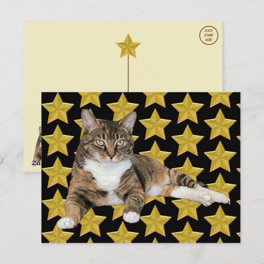 Annie's Star : Cat Postcard Postkarte (Vorne/Hinten)