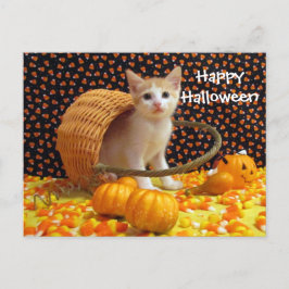 Annie's Sweet Halloween Cat / Kitten Postcard Postkarte