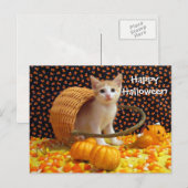 Annie's Sweet Halloween Cat / Kitten Postcard Postkarte (Vorne/Hinten)