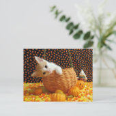 Annie's Sweet Halloween - Katze / Kitten Postkarte (Stehend Vorderseite)