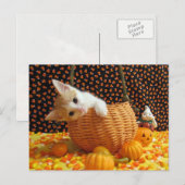 Annie's Sweet Halloween - Katze / Kitten Postkarte (Vorne/Hinten)