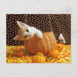 Annie's Sweet Halloween - Katze / Kitten Postkarte