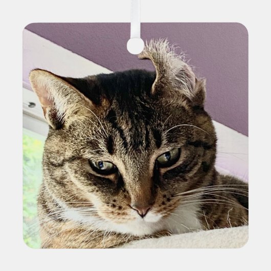 Annie's Weihnachtsschmuck (Vorderseite)