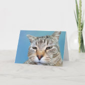 Annoyed Cat Cancer ermutigend Karte (Vorderseite)