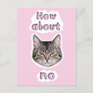 Annoyed Cat Einladungspostkarte