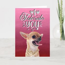 Annoyed Chihuahua Valentine's Day Holiday Card Feiertagskarte