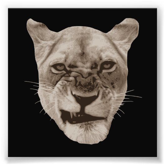 Annoyed Snarling Lion Cat Fotodruck (Vorne)