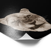 Annoyed Snarling Lion Cat Fotodruck (Ecke)