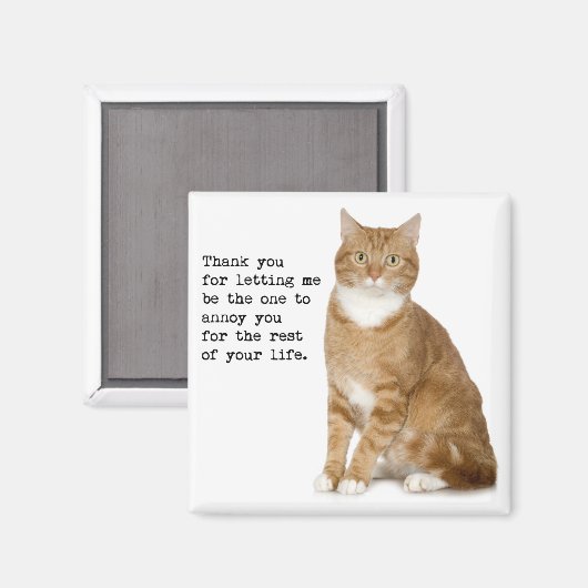 Annoying Cat Magnet (Vorderseite/Rückseite)