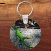 Anole 6704 schlüsselanhänger (Vorderseite)