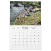 Anole Annals 2021 Kalender (Mär 2027)