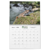 Anole Annals 2021 Kalender (Mär 2026)