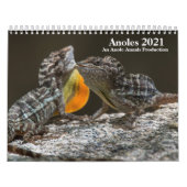 Anole Annals 2021 Kalender (Titelbild)