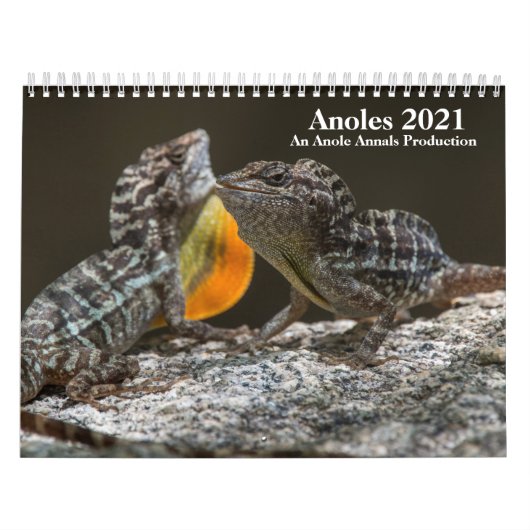 Anole Annals 2021 Kalender (Titelbild)