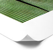 Anole Dual Poster (Ecke)