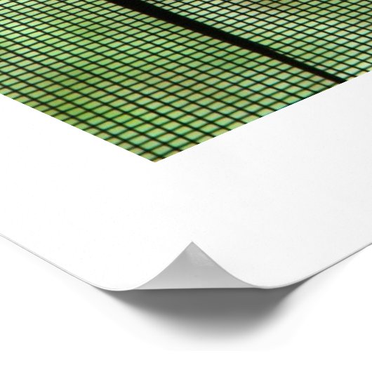 Anole Dual Poster (Ecke)